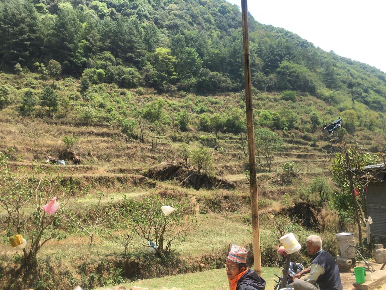 Picture of Dakshinkali Municipality, Bagmati